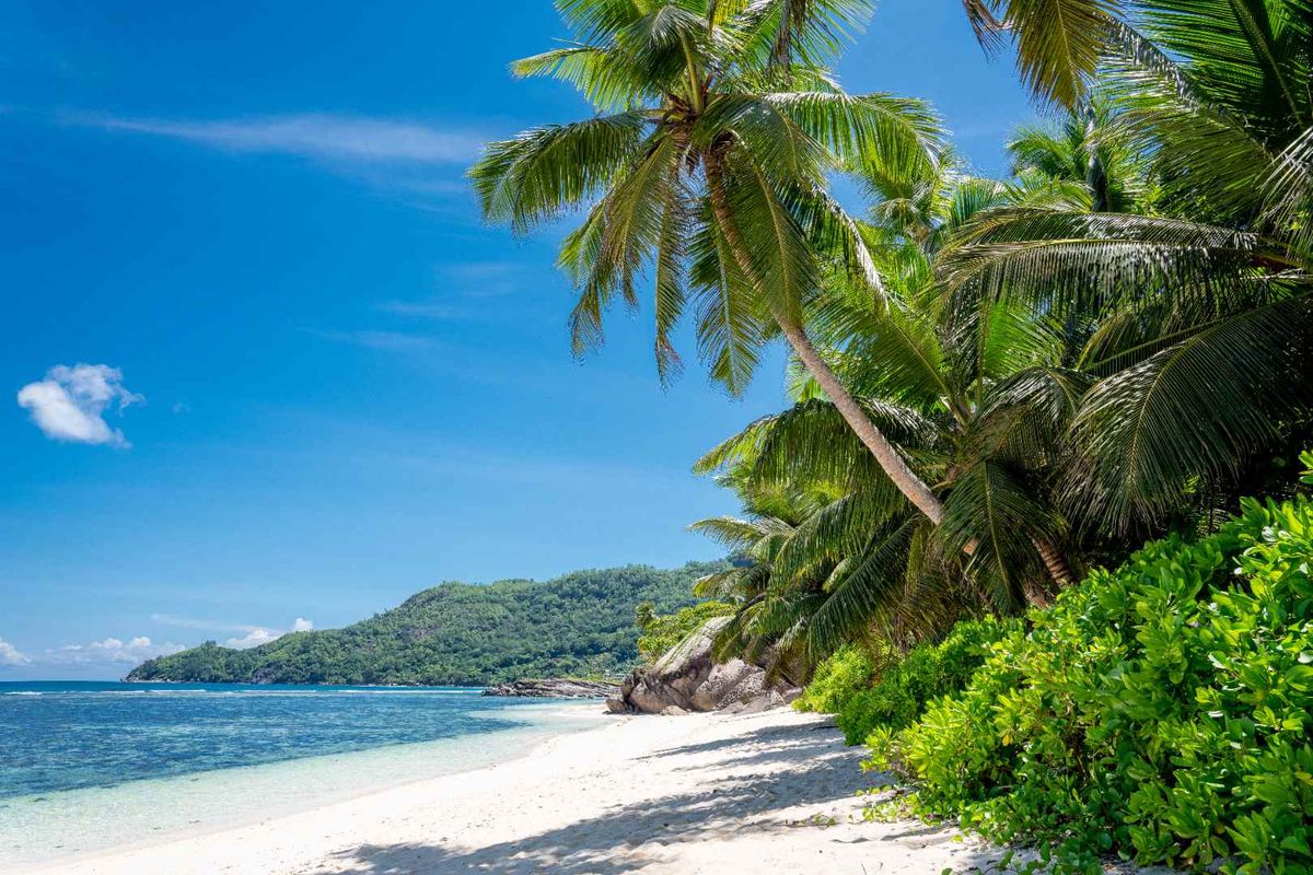 LARGE SCALE TOURISM DEVELOPMENT OPPORTUNITY PRASLIN - Photo 3