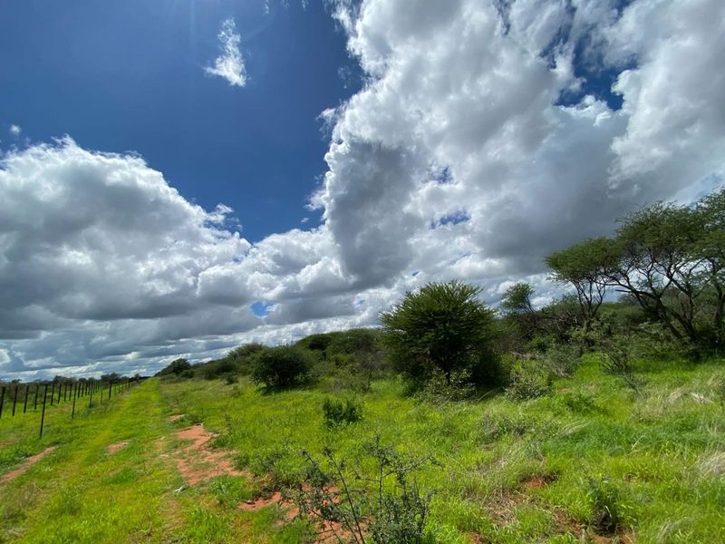 Expansive open veld landscape featuring natural vegetation and perimeter wire fencing under a bright, cloudy sky.