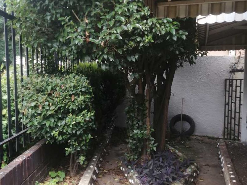 Spacious 3 bedroom House bordering The Hill - Photo 3