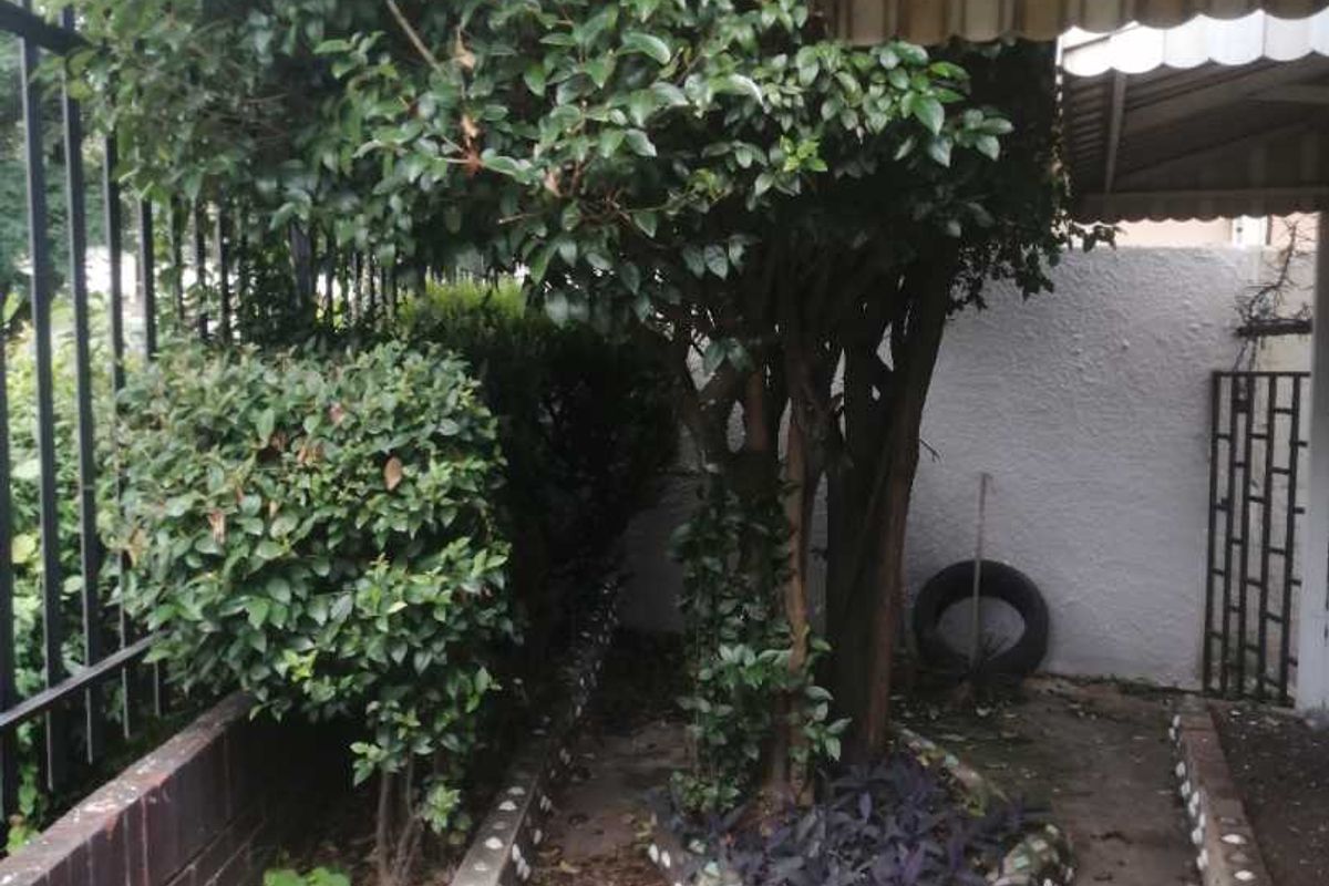 Spacious 3 bedroom House bordering The Hill - Photo 3