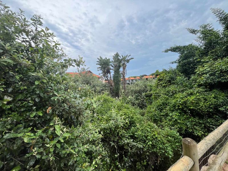 Prime Vacant Land in Zimbali – One of the Last Remaining Opportunities. - Photo 8