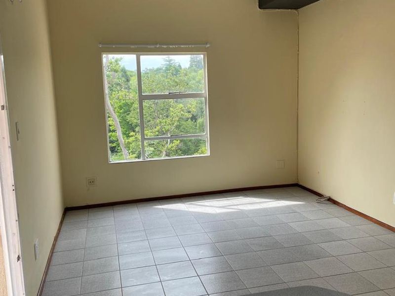 Newly Renovated Apartment In Halfway Gardens - Photo 6