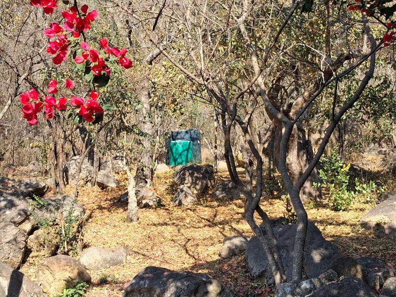 A natural, wooded garden area featuring mature trees, rocky terrain, and a visible water storage tank.
