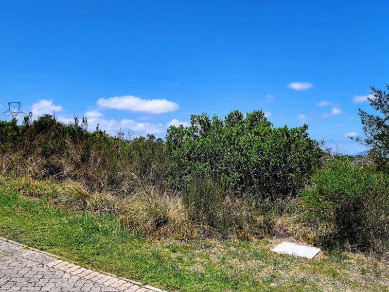 Tranquil Living with Breathtaking Views - Photo 10