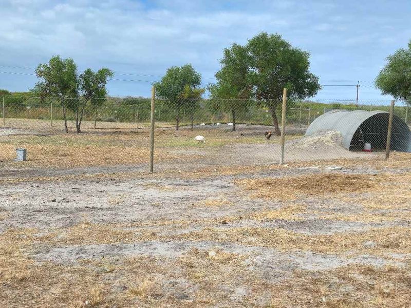 Kamba Farm – An Exceptional Opportunity in Franskraal, Western Cape - Photo 6