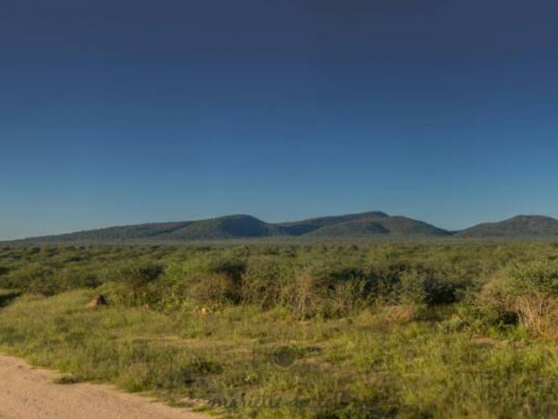 Sprawling 20 Hectare Plots for Sale - Photo 6