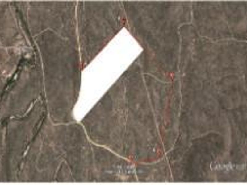 Plot For Sale  - Ongos Valley - Photo 2