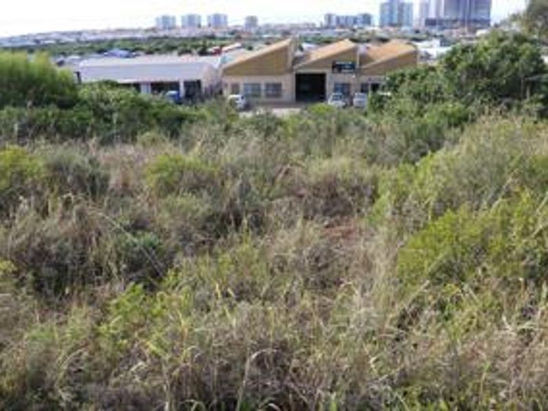 3968m2 Industrial Land for Sale in Diaz Industrial - Photo 8