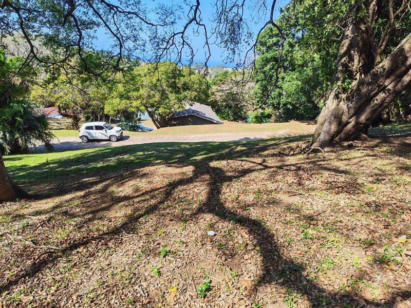A view of a sloped, tree-covered residential plot featuring mature trees and natural landscaping.