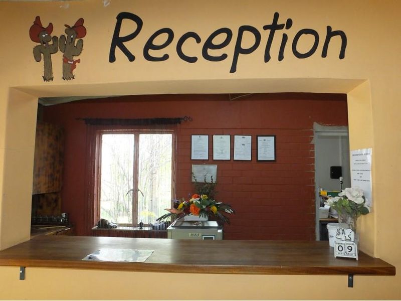 BEAUTIFUL AND POPULAR GUEST HOUSE FOR SALE IN GROOTFONTEIN - NAMIBIA - Photo 10