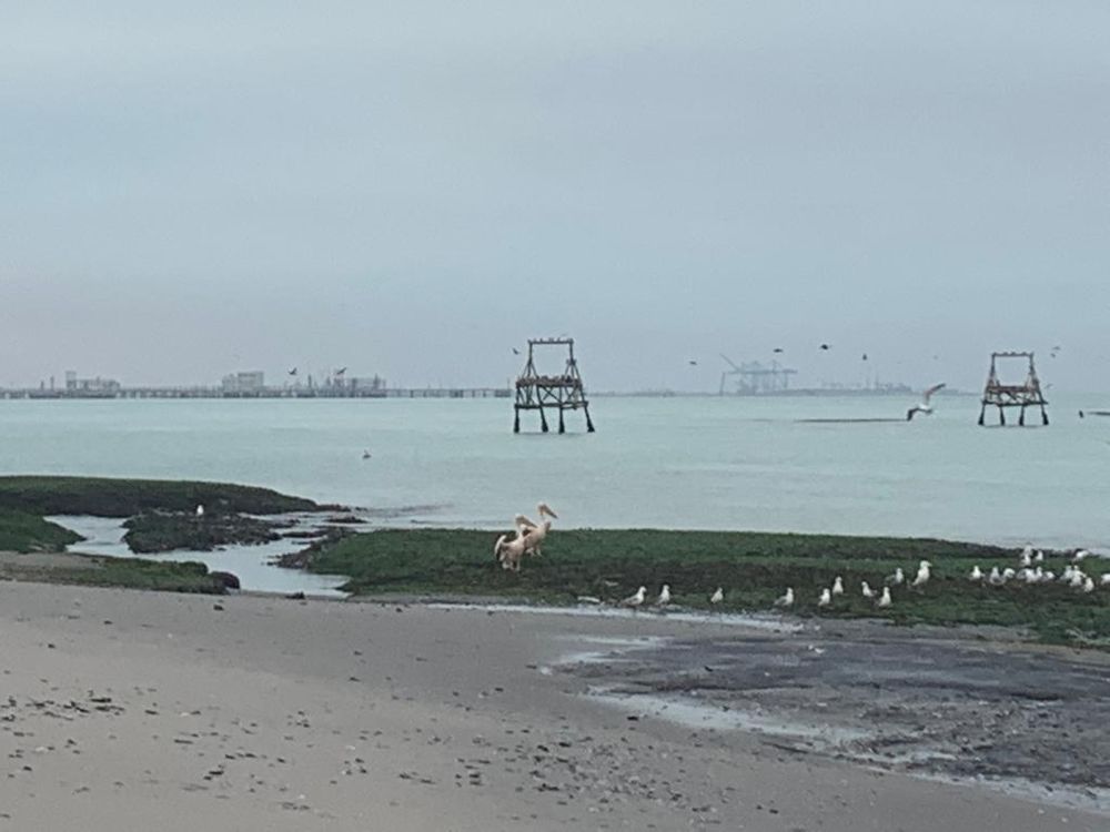 View from Afrodite Beach