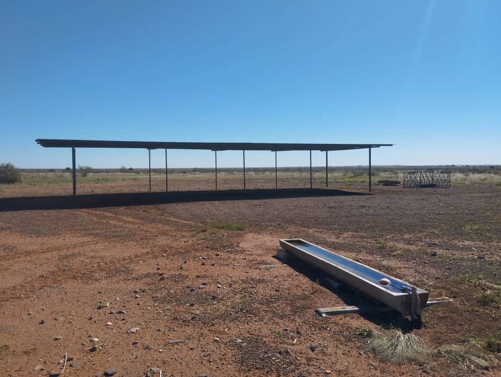 Shaded Area for Livestock