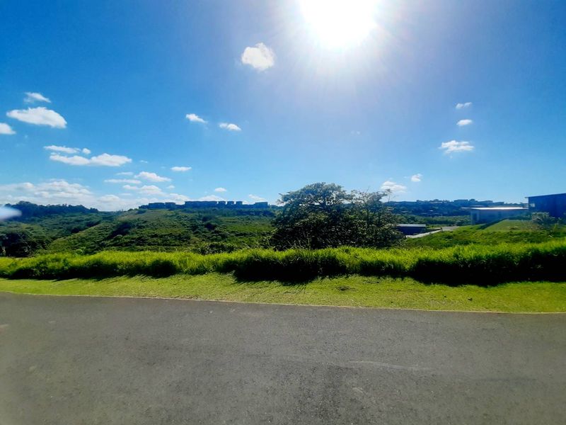 Brand New Home for Sale in Palm Lakes Estate - Photo 8