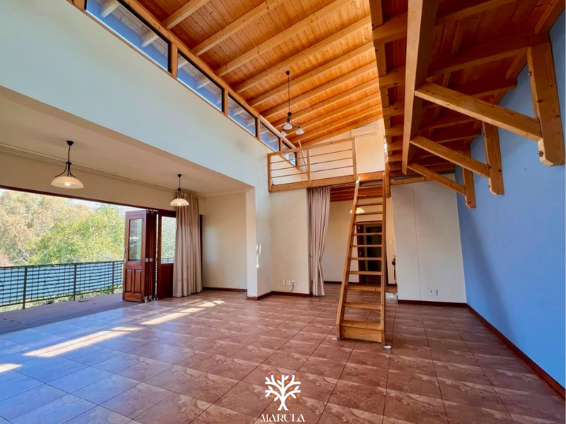 Spacious open-plan living area featuring high exposed timber ceilings, a mezzanine level with timber staircase, and large bi-fold doors leading to a balcony.