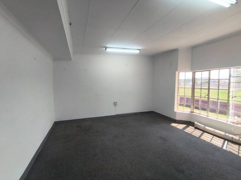 An empty, functional office space featuring carpeted flooring, fluorescent lighting, and large steel-framed windows providing natural light.