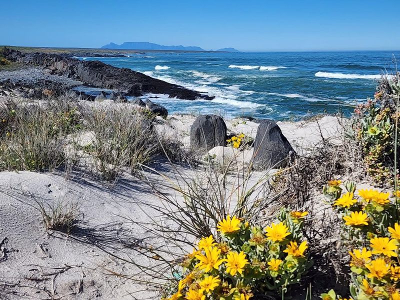 A scenic view of the coastal landscape featuring a sandy beach, rocky shoreline, and ocean waves under a clear blue sky.