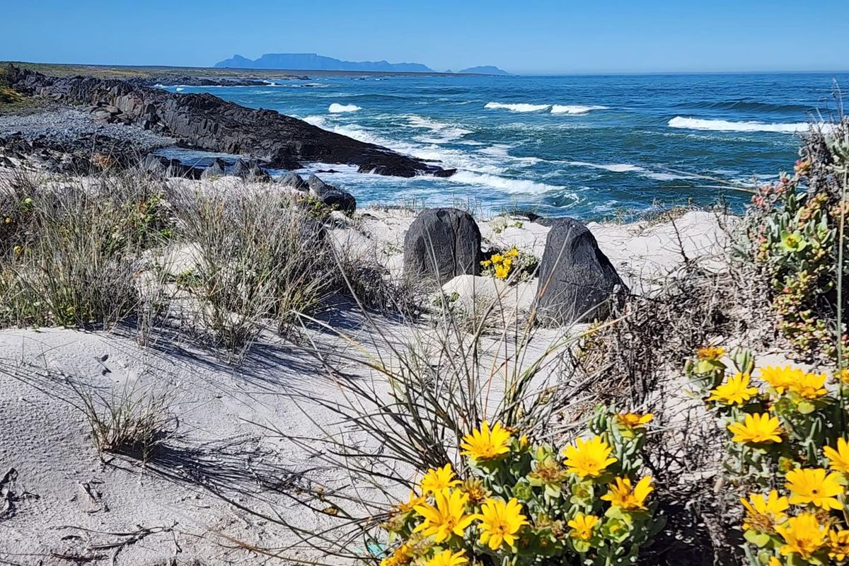 A scenic view of the coastal landscape featuring a sandy beach, rocky shoreline, and ocean waves under a clear blue sky.
