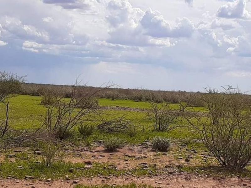 Farm for sale in Rehoboth - Photo 6