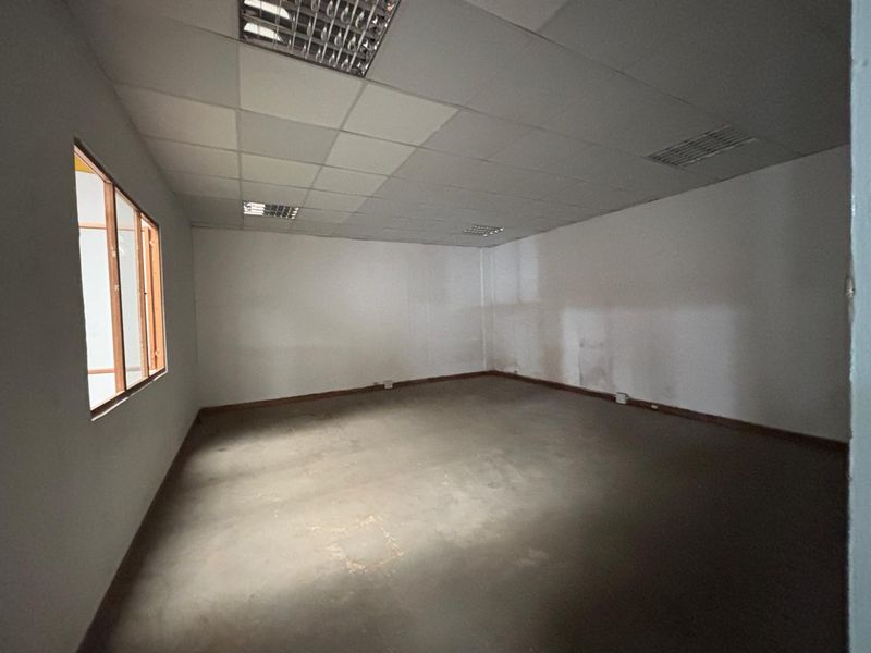 An empty industrial office space featuring a suspended ceiling with recessed lighting, concrete flooring, and a timber-framed window.