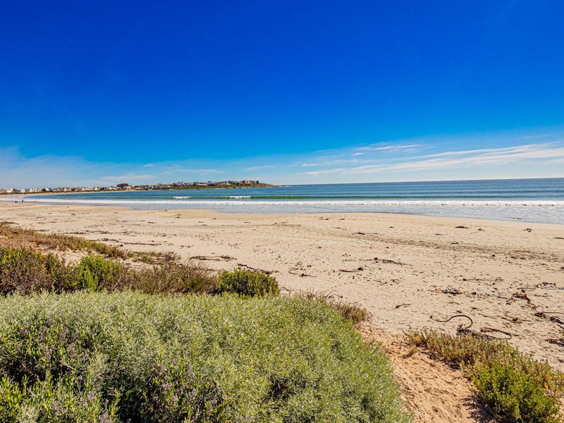 A scenic coastal view featuring a sandy beach, native coastal vegetation, and the ocean under a clear blue sky.