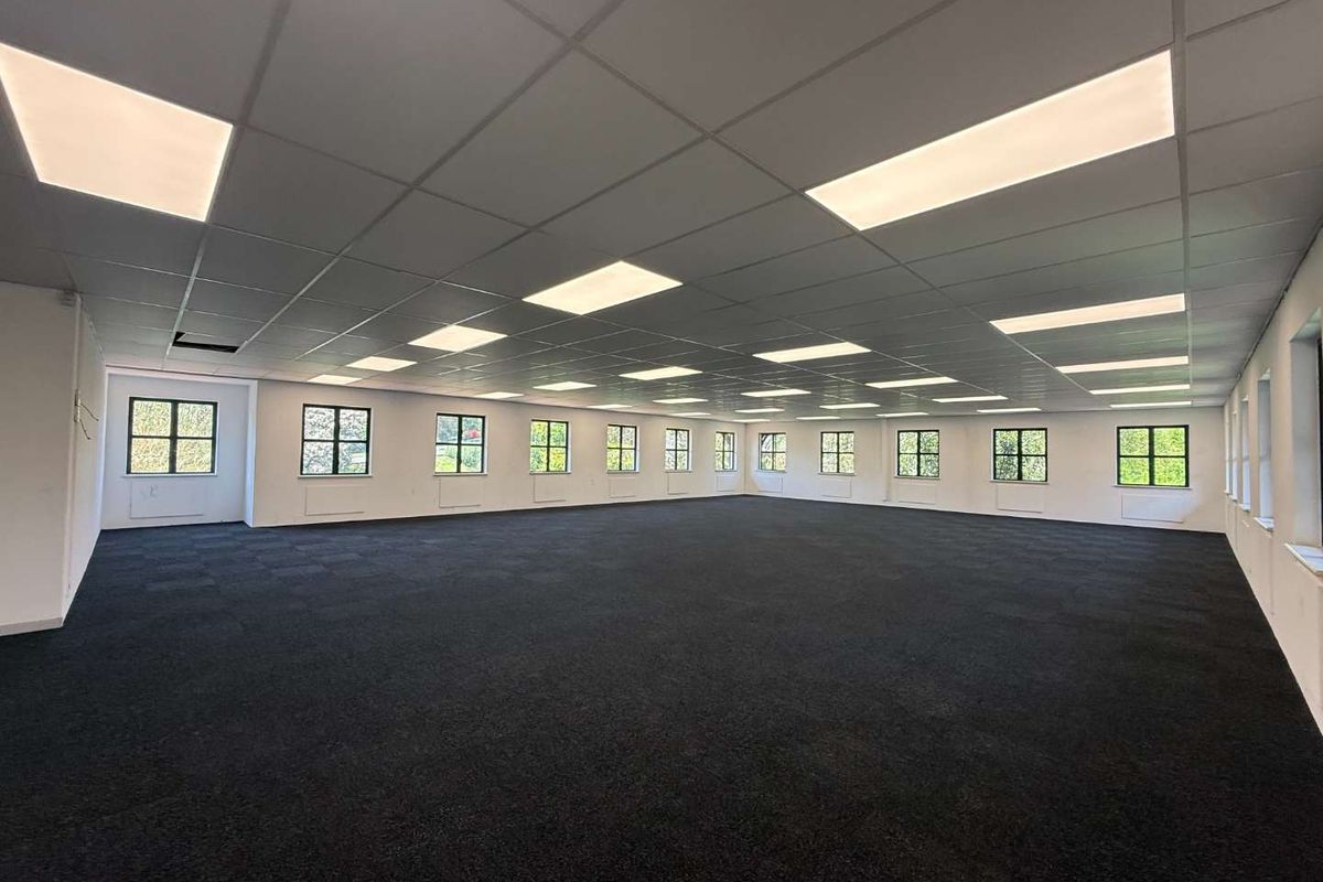 A spacious, open-plan office area featuring a suspended ceiling with recessed lighting, dark carpet tiles, and abundant natural light from multiple windows.