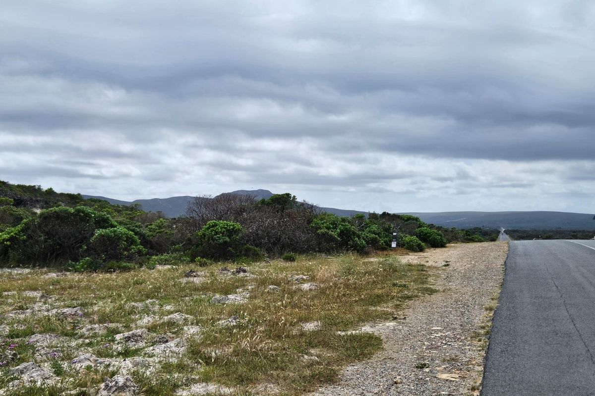 Exceptional Vacant Land for Sale in Pearly Beach - Photo 5