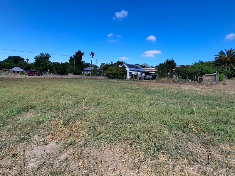 Dream Big: Subdividable Plot in Historic Heidelberg - Photo 7