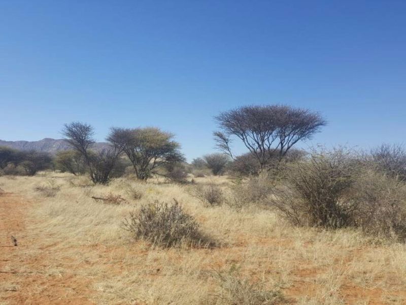 Smallholding South of Windhoek - Photo 9