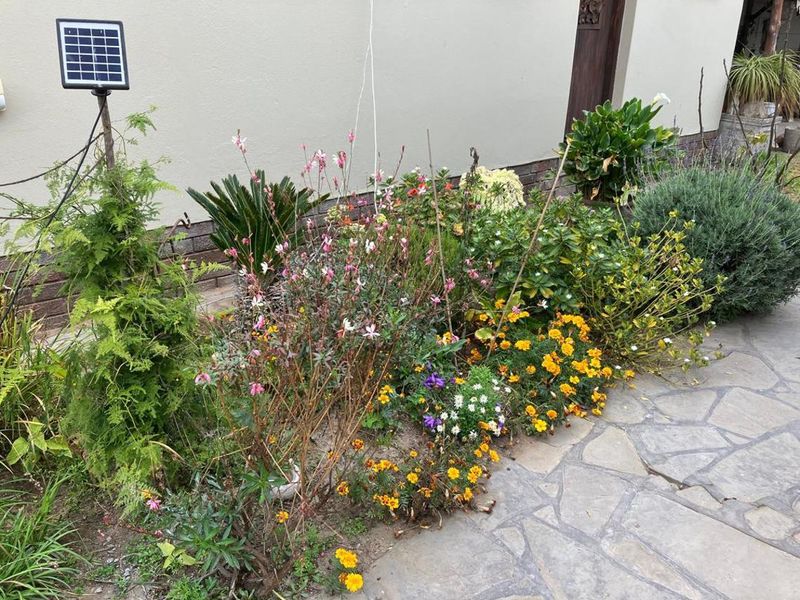 3 Bedroom House with 2 Bedroom Flatlet in Vineta - Photo 3