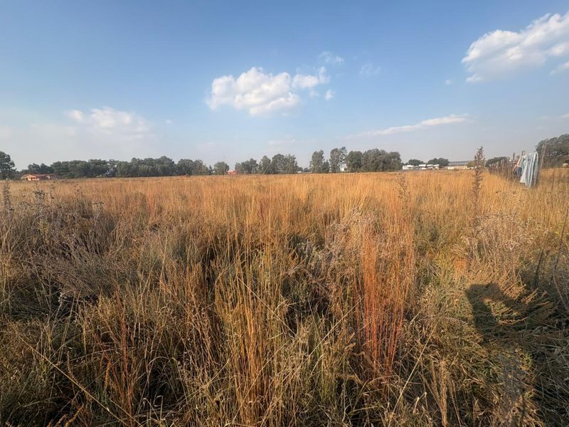 Vacant Land with Endless Potential - Photo 1
