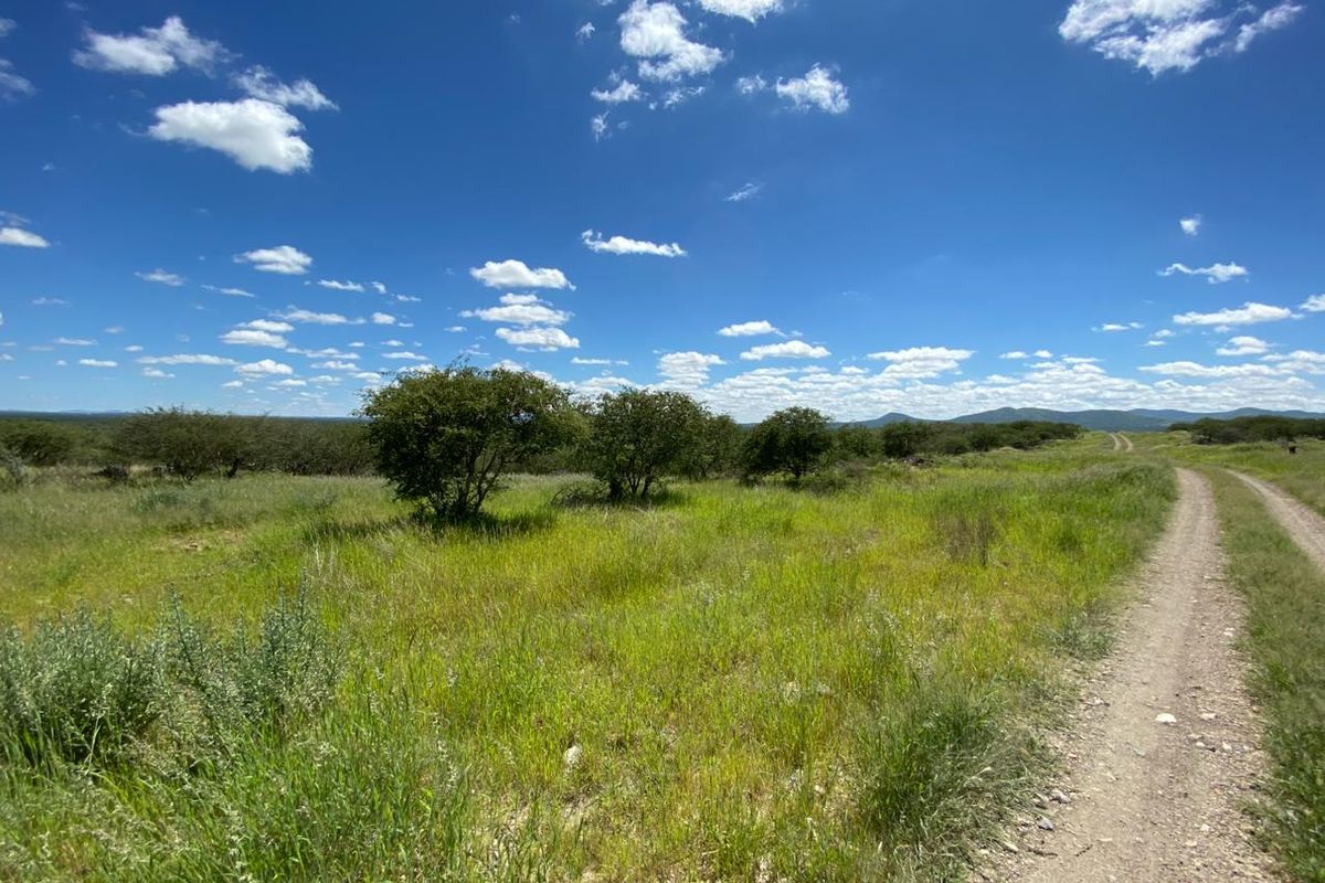 A scenic view of the open landscape on the small holding, featuring a dirt access road and natural vegetation under a clear blue sky.