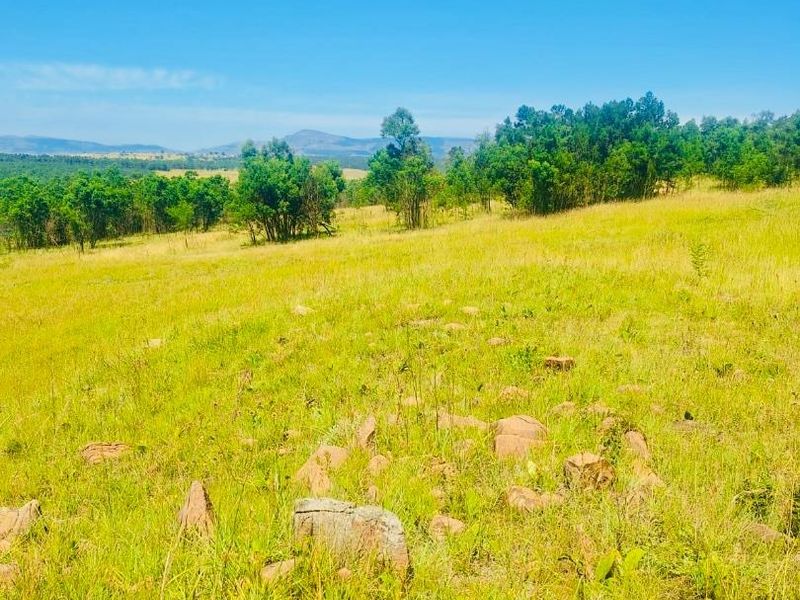 farm for sale in Vryheid area - Photo 3