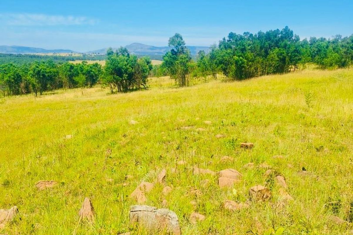 farm for sale in Vryheid area - Photo 3