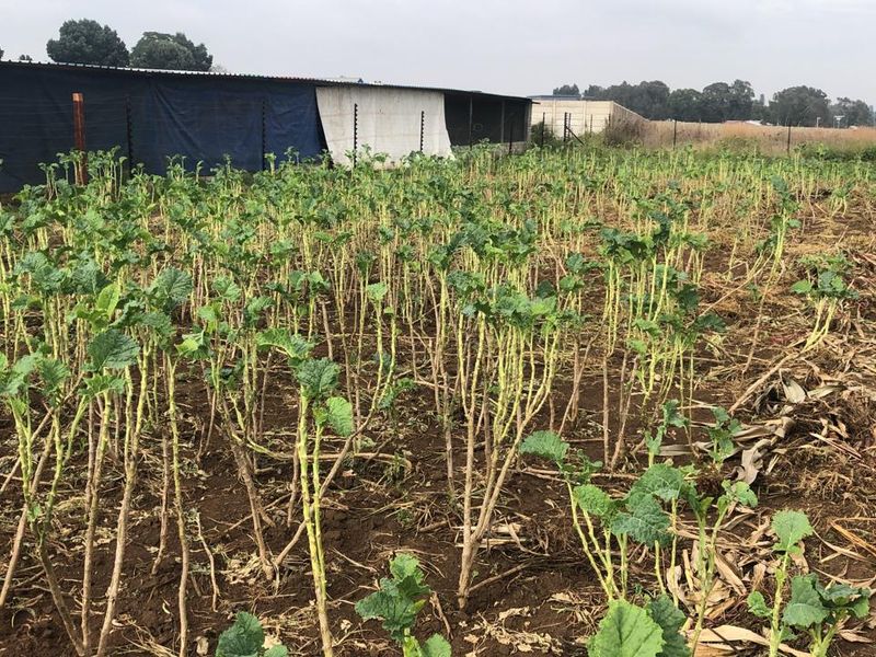 Land/farm up for sale - Photo 2