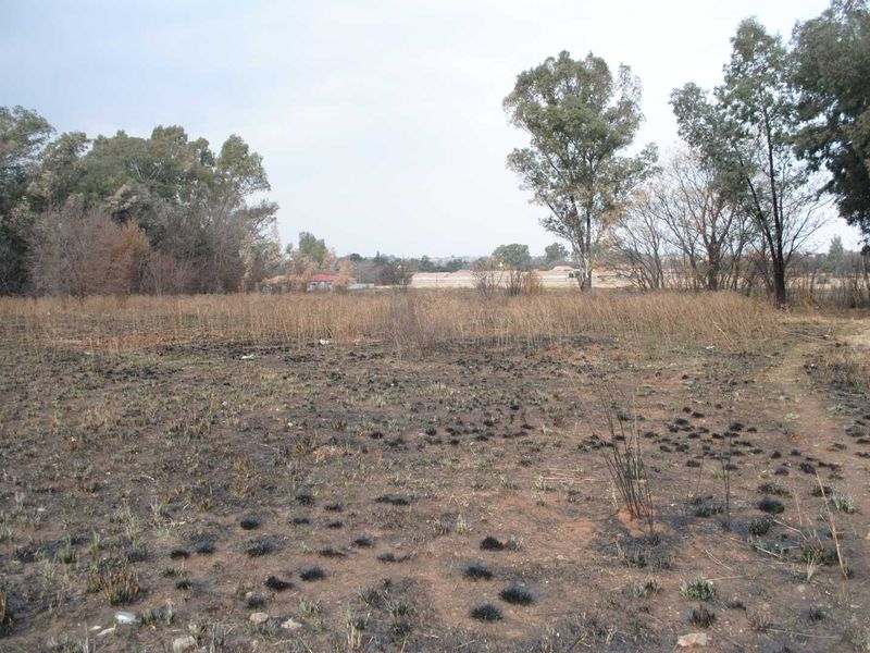 Prime main street location housing this large sectional title stand - Photo 3