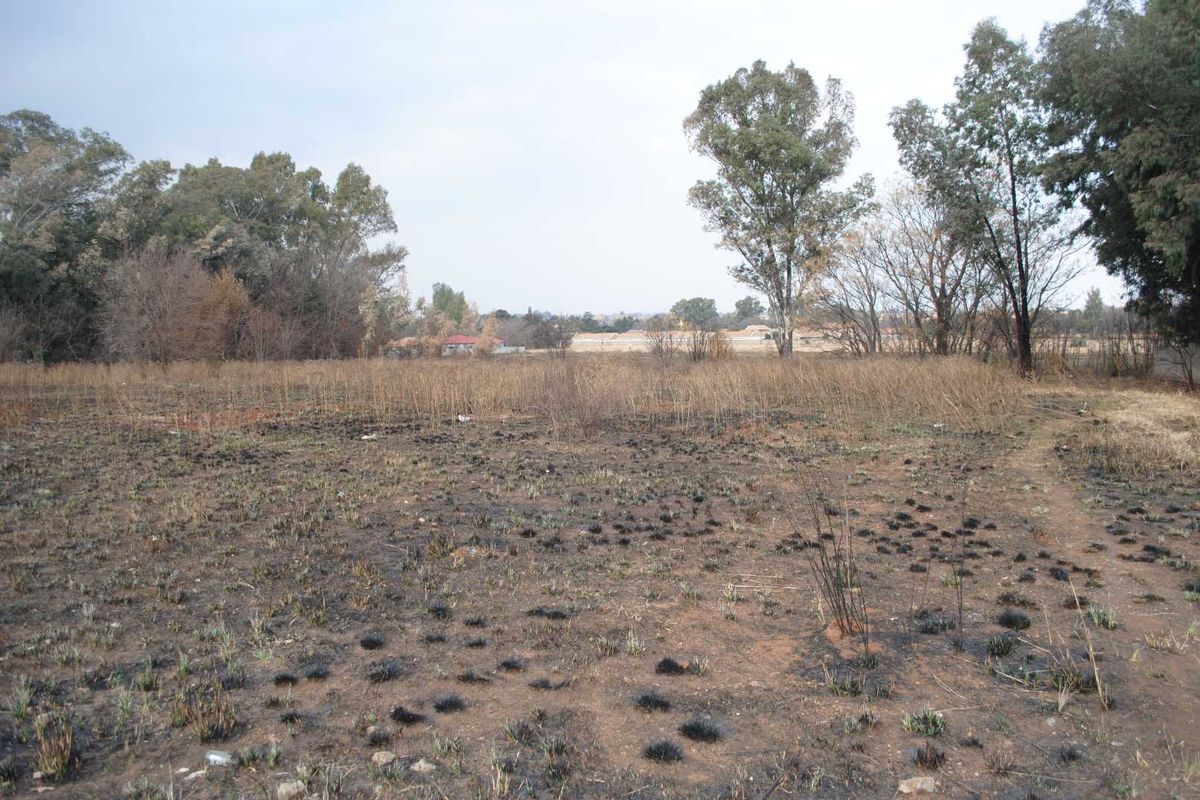 Prime main street location housing this large sectional title stand - Photo 3