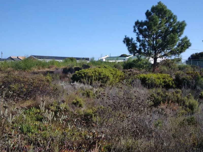 Level Stand, Lagoon Nearby, Lifestyle Sorted. - Photo 5