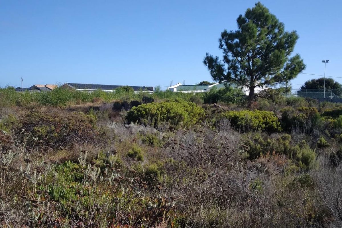 Level Stand, Lagoon Nearby, Lifestyle Sorted. - Photo 5