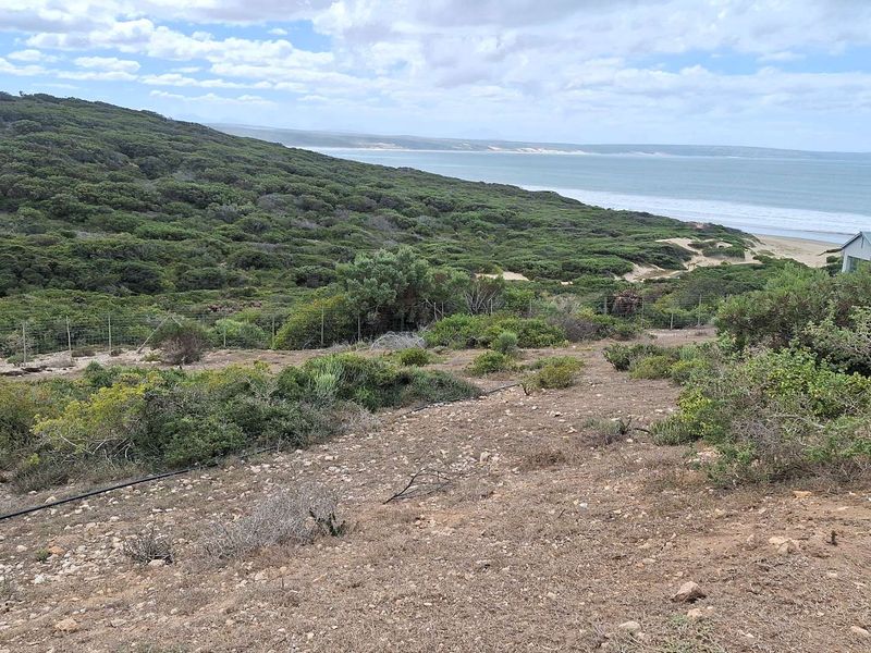 659m2 Vacant Land in Vleesbaai - Kloofsig Estate - Photo 6