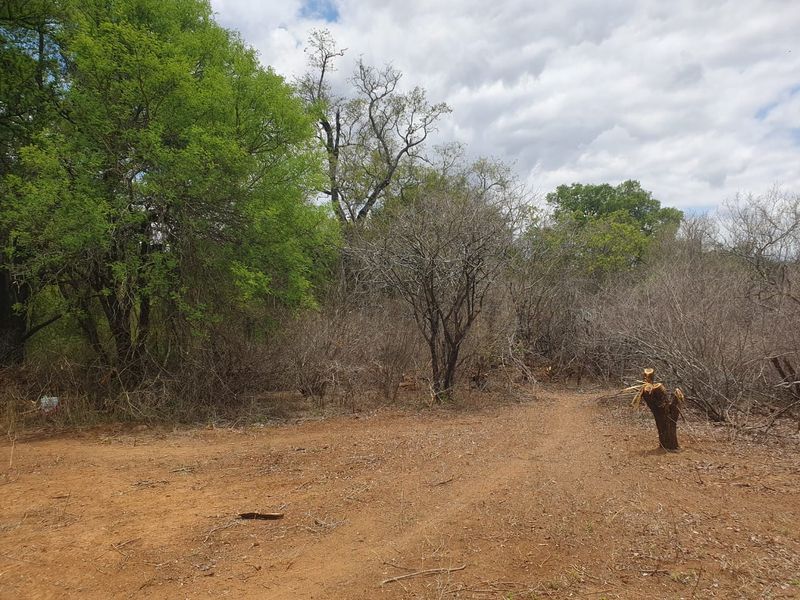 New, 4-Bedroom Family Home – to be constructed in Blyde Wildlife Estate - Photo 6