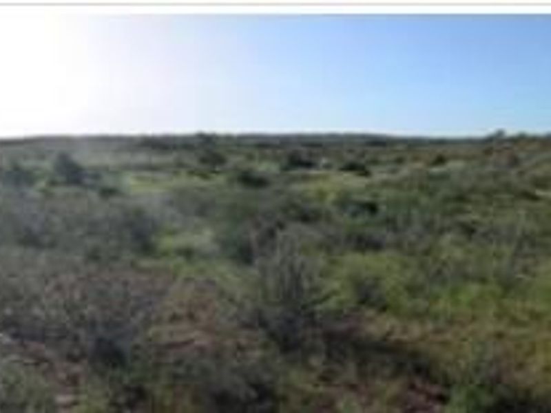 Commercial Agricultural Farm for Sale-Maltahohe - Photo 3