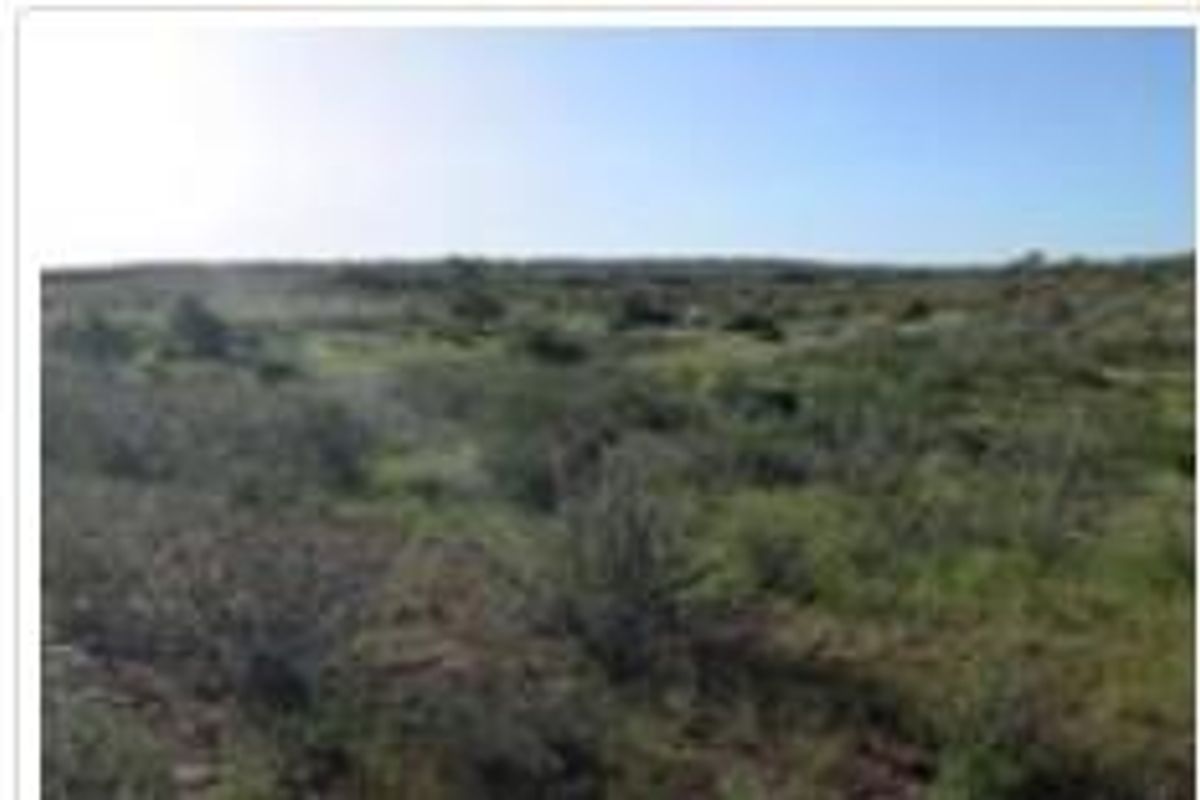 Commercial Agricultural Farm for Sale-Maltahohe - Photo 3