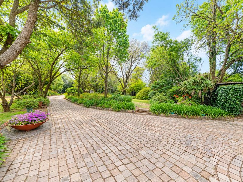 A beautifully landscaped garden featuring a paved cobblestone driveway surrounded by mature trees and lush greenery.