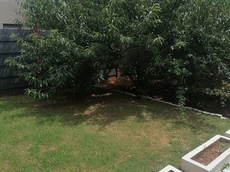 A private garden area featuring a lawn, mature trees, and concrete planter boxes along the boundary.