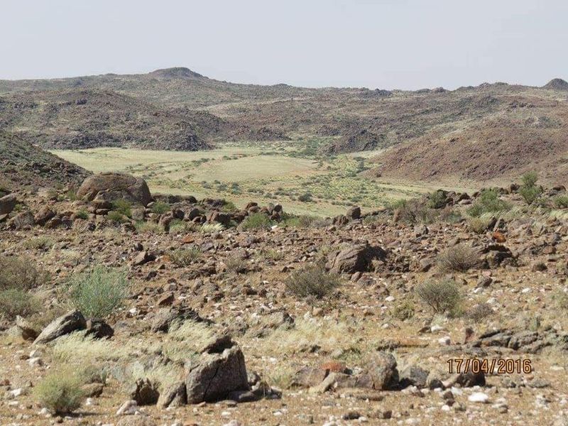 GAME FARM FOR SALE IN NOORDOEWER DISTRICT: - Photo 10