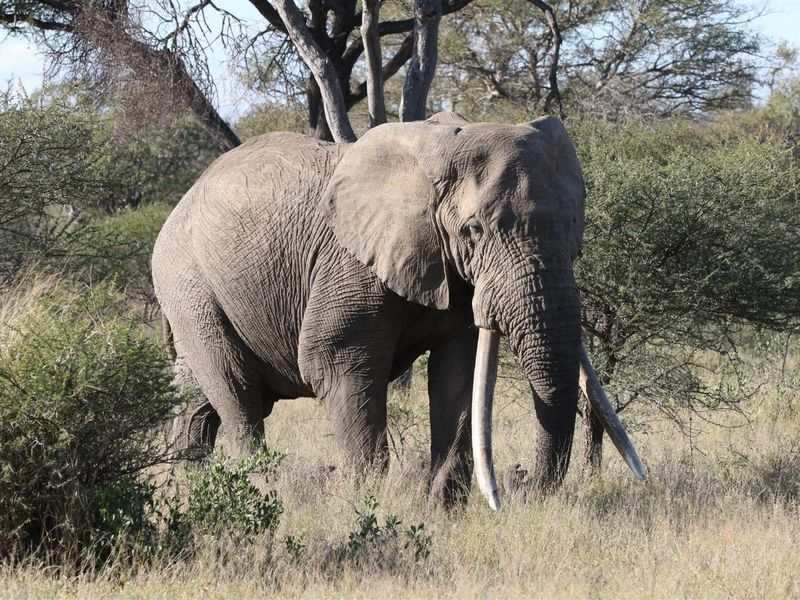 Purchase your home in the Greater Kruger National Park - Photo 5