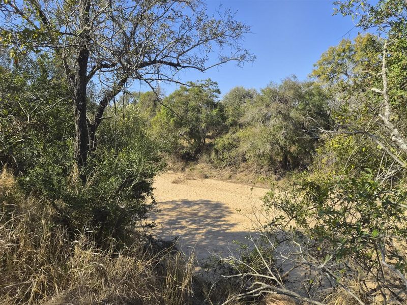 A scenic view of a natural sandy riverbed surrounded by native trees and vegetation on the residential property.