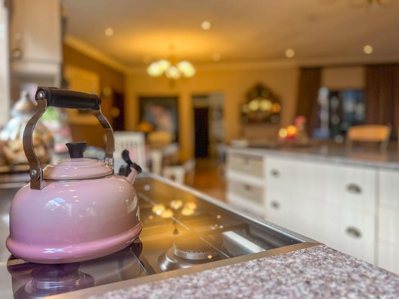 Rare find single level family home in Midfield Estate - Photo 10