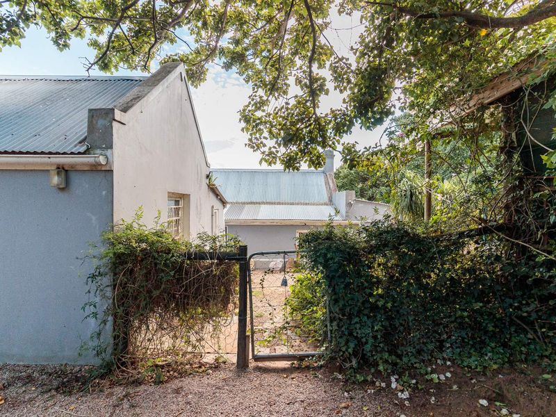 Rear view of the property featuring a corrugated metal roof, plastered walls, and a gated entrance surrounded by mature trees and overgrown garden foliage.