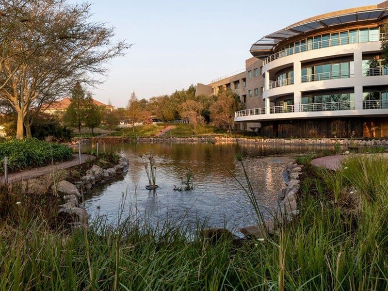 1 195m2 Woodmead Office To Let - Photo 4